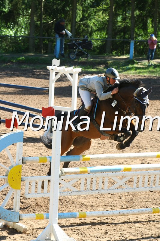 104M8988_Spring M_m.Stechen.JPG